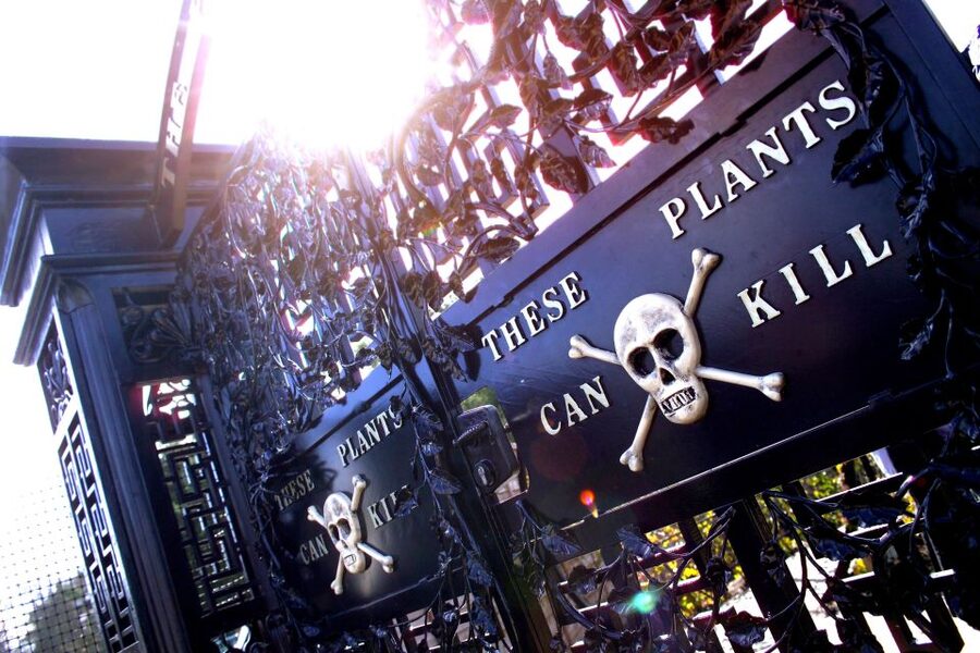 The Alnwick Garden: Entry Ticket - Book the Poison Garden before your visit