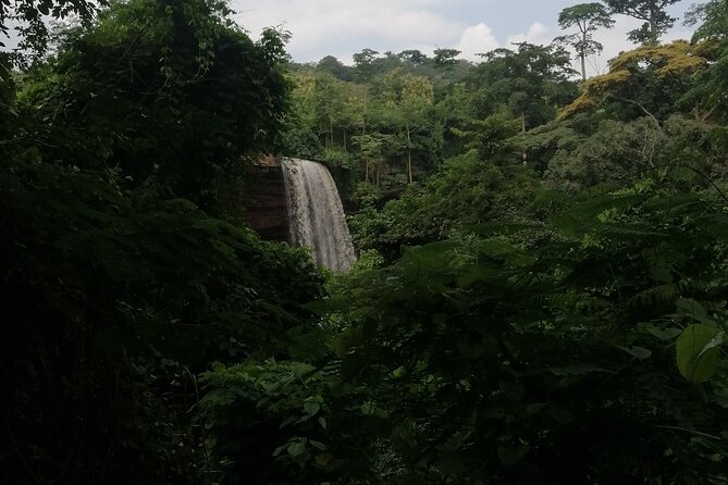 The Botanical Gardens and Water Falls Experience - Private Tour - Boti Falls, the Twin Falls