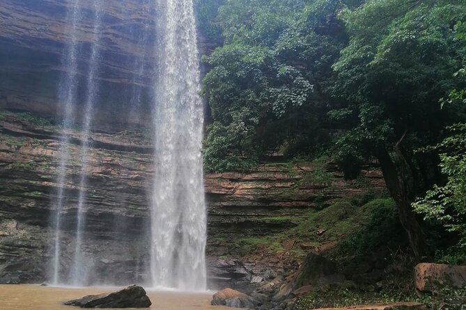 The Botanical Gardens and Water Falls Experience - Private Tour - Is the $222.15 price good value?