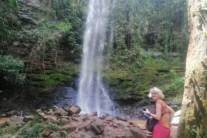 The Botanical Gardens and Water Falls Experience - Private Tour - Who will enjoy this day most?