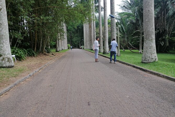 The Botanical Gardens and Water Falls Experience - Private Tour - Booking details worth noting