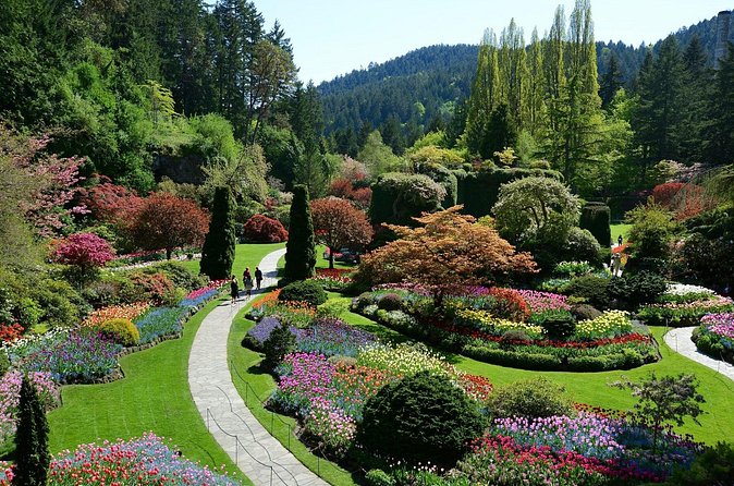 The Butchart Gardens Express Shuttle from Downtown Victoria - Timing your visit for fewer crowds