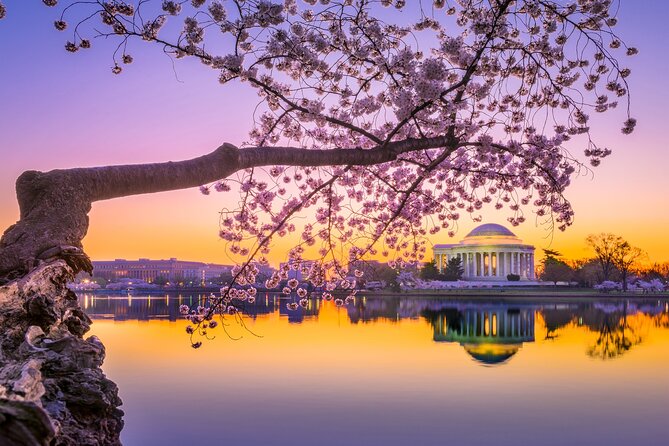 The DC Cherry Blossom Bus Tour with Tidal Basin Guided Walk - Starting at the US Navy Memorial at 10 a.m.