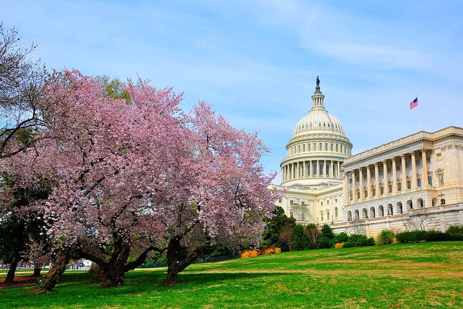 The DC Cherry Blossom Bus Tour with Tidal Basin Guided Walk - The White House from outside