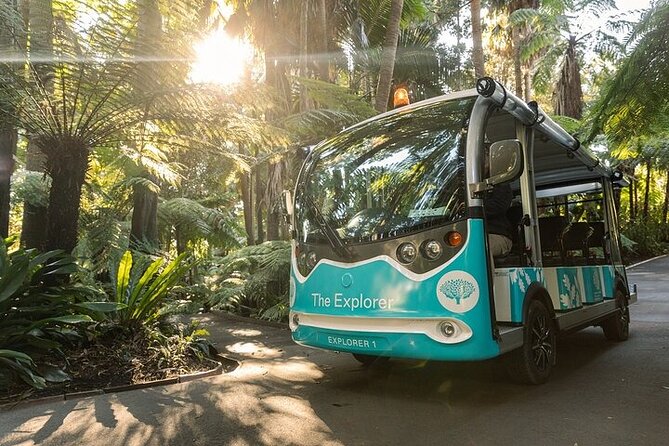 The Explorer - Melbourne Gardens - What you see during the 30-minute circuit