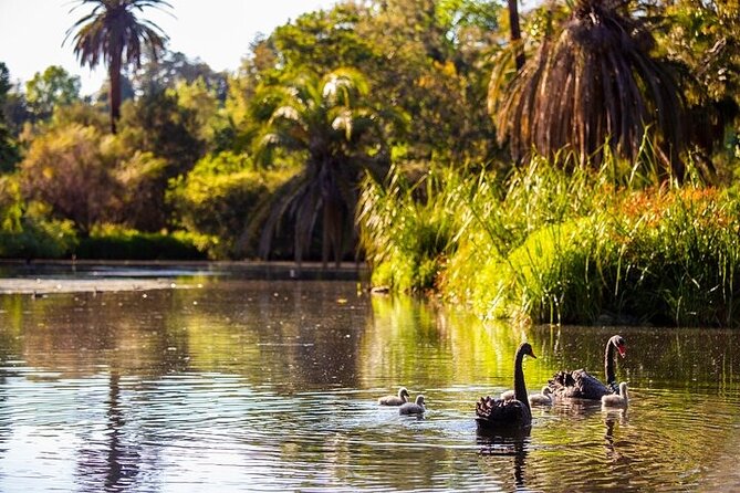 The Explorer - Melbourne Gardens - A good choice when walking is difficult