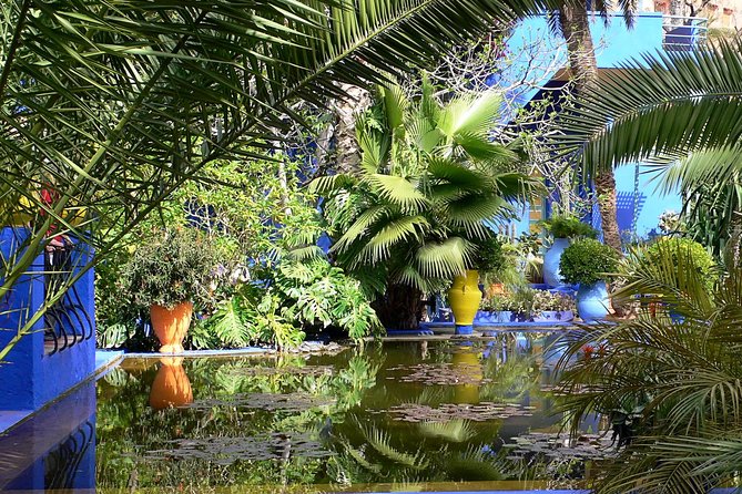 The Majorelle Garden with ticket and the palm grove on camelback - What the $27 price really gets you