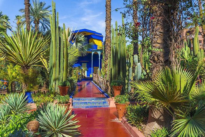 The Majorelle Garden with ticket and the palm grove on camelback - Changing scenery in La Palmeraie