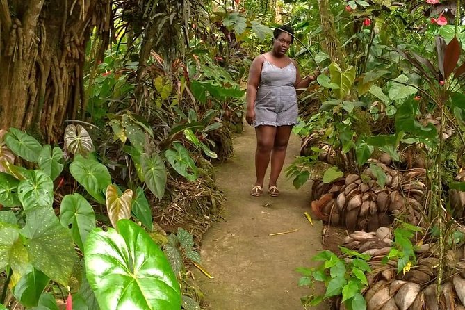 The Montreal Garden Tour with Fraser's Taxi and Tours - Rawacou Recreational Park and Villa Beach