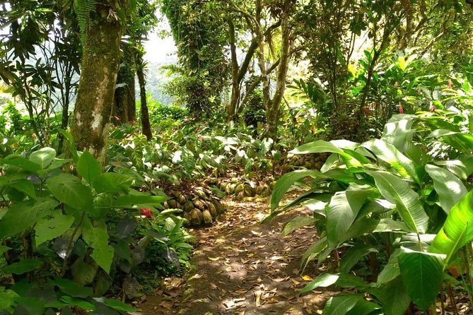 The Montreal Garden Tour with Fraser's Taxi and Tours - Who Will Enjoy This Tour Most