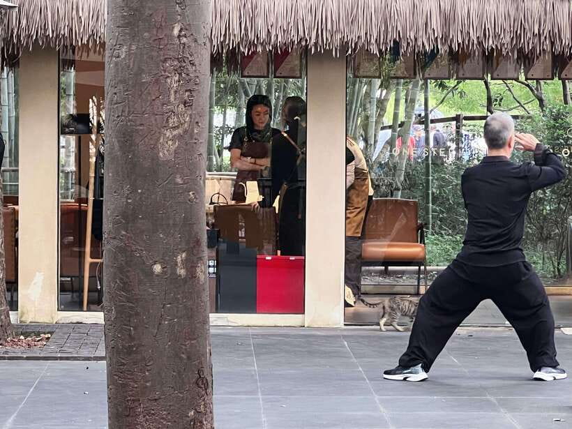 Three Hour Shanghai Tour Tai Chi and Yu Garden - Why the Tai Chi start feels different