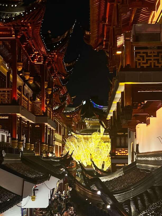 Three Hour Shanghai Tour Tai Chi and Yu Garden - Who should book this Shanghai outing?