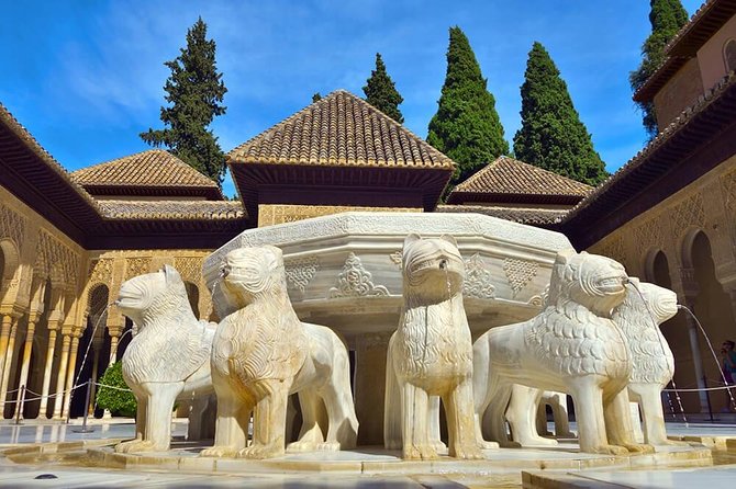 Tickets included: Alhambra Tour (Gardens, Alcazaba, Generalife) - Bags, tickets, and other details that matter