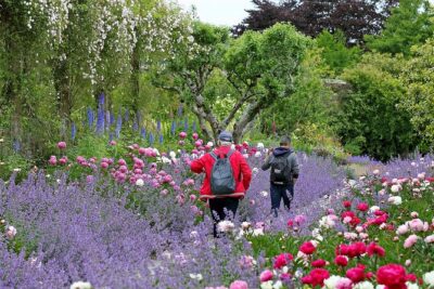 Tickets to Explore Ireland’s Global Garden