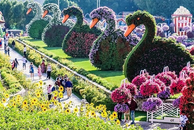 Tickets to Miracle Garden or Butterfly Garden or Global Village - Transport is useful, but the driver is not your guide