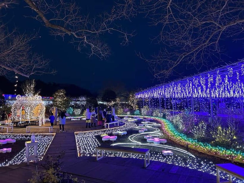 Tokyo: Ashikaga Flower Park with Entry Ticket - Summer Roses and a Different Garden Mood