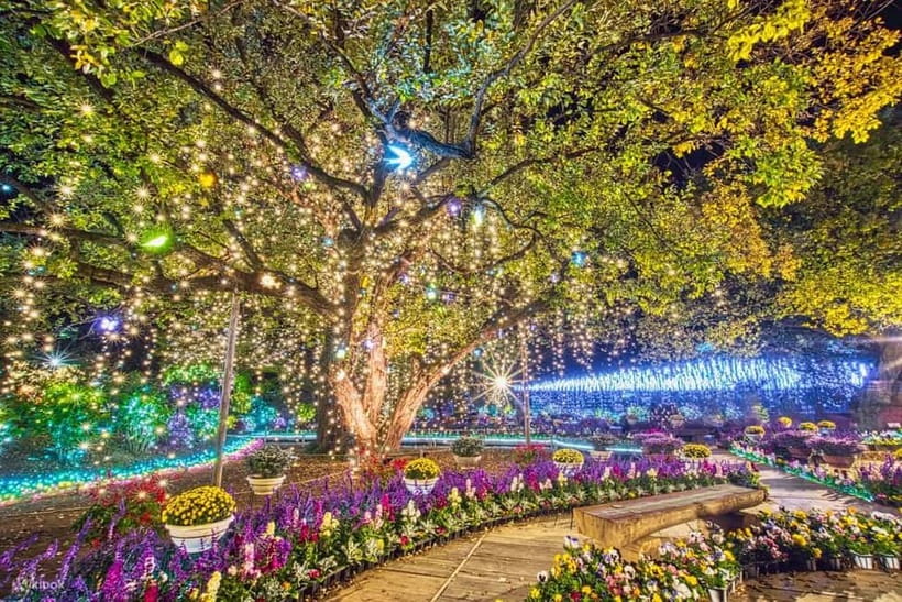Tokyo: Ashikaga Flower Park with Entry Ticket - Winter Illumination With Hundreds of Lights