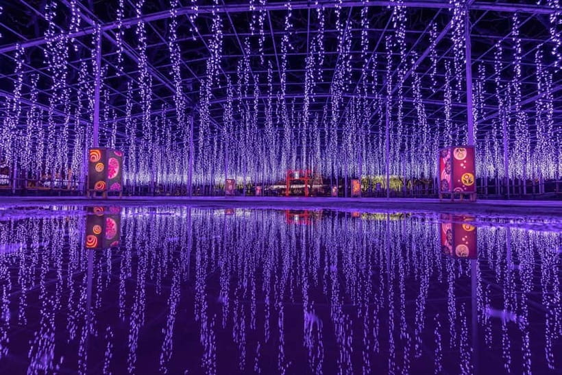 Tokyo: Ashikaga Flower Park with Entry Ticket - A Three-Hour Walk Through the Park