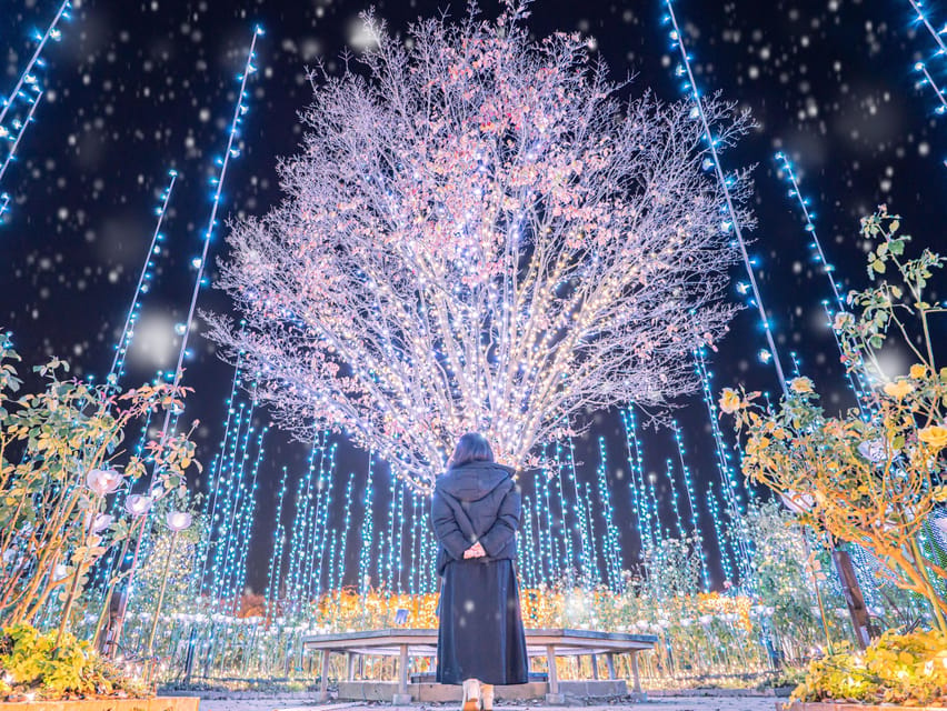 Tokyo: Ashikaga Flower Park with Entry Ticket - What the Guide Adds to the Day