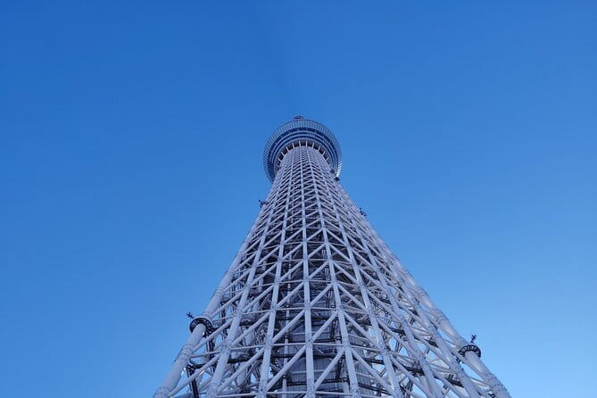 Tokyo Cherry Blossom Half Day Walking Tour with a Local Guide - What the private guide adds to the price