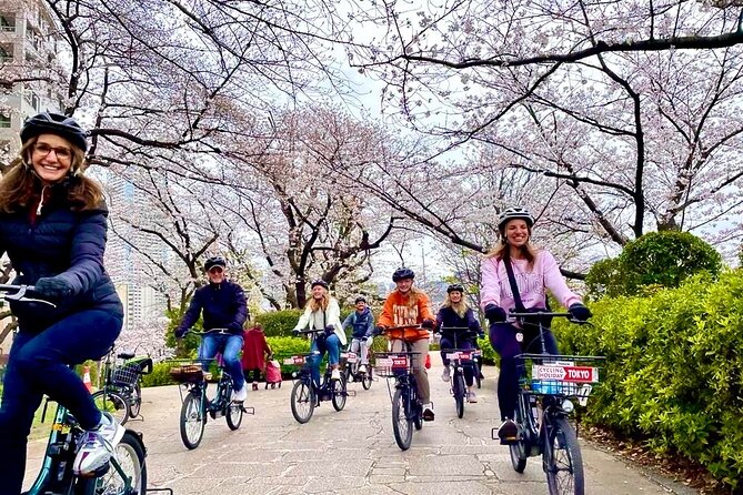 Tokyo Cherry Blossoms blooming spots E-bike Tour, 3hrs - Key points at a glance