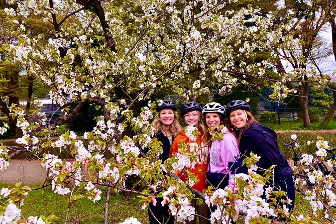 Tokyo Cherry Blossoms blooming spots E-bike Tour, 3hrs - Why an e-bike works well for Tokyo’s cherry blossom season