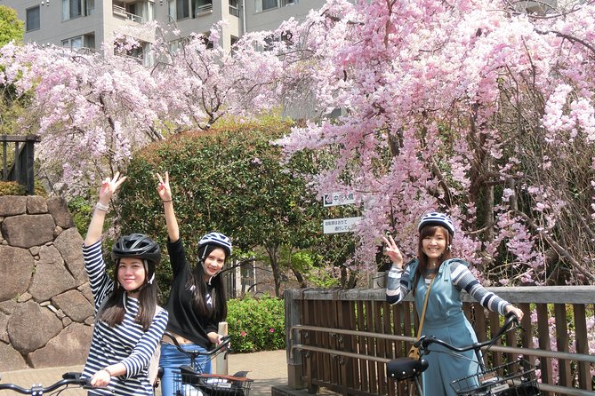 Tokyo Cherry Blossoms blooming spots E-bike Tour, 3hrs - Chidorigafuchi: the first major blossom stop