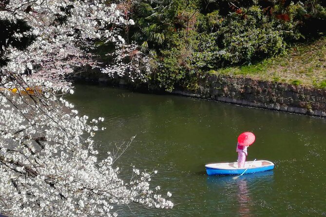 Tokyo Cherry Blossoms blooming spots E-bike Tour, 3hrs - Hibiya Park: a brief city pause