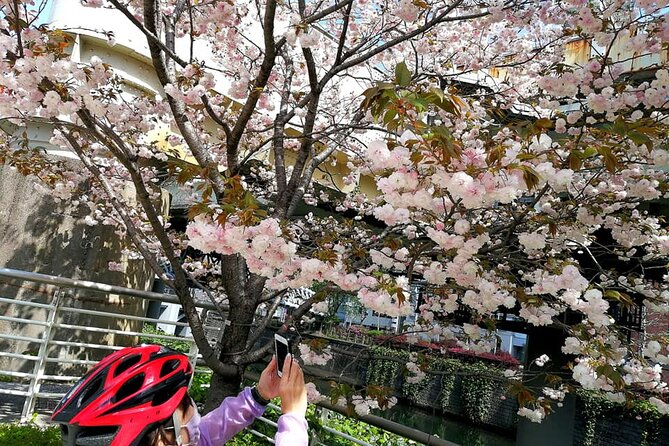 Tokyo Cherry Blossoms blooming spots E-bike Tour, 3hrs - Kensei Kinenkan: a quieter final stop