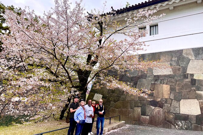 Tokyo Cherry Blossoms blooming spots E-bike Tour, 3hrs - What the guides add to the ride