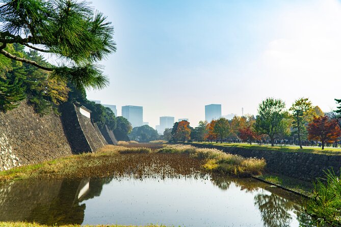 Tokyo: Edo Castle & East Garden of the Imperial Palace Tour - What makes the garden walk worthwhile