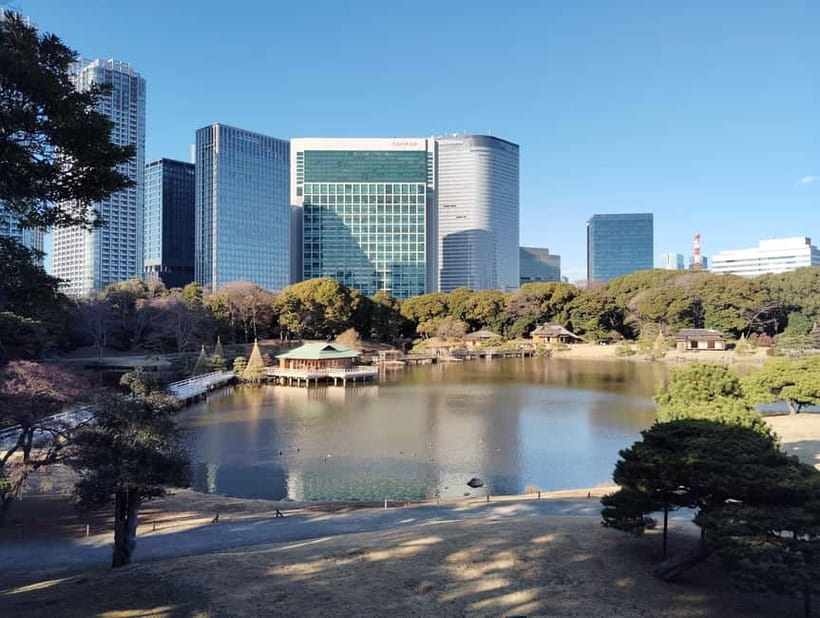 Tokyo: Hama-rikyu Garden Guided Tour with Entry Ticket - Falconry adds a surprising human story