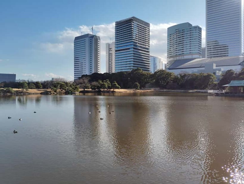 Tokyo: Hama-rikyu Garden Guided Tour with Entry Ticket - What 90 minutes feels like on the ground
