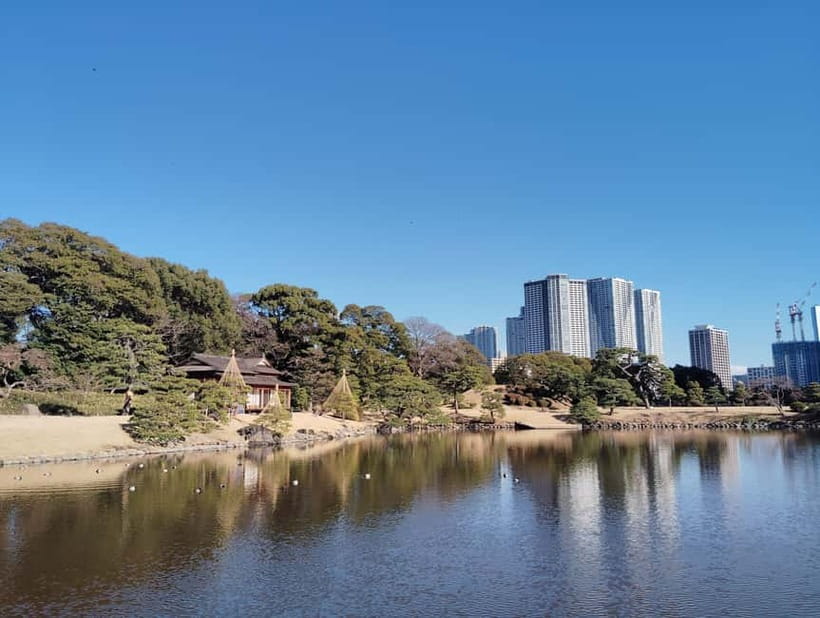 Tokyo: Hama-rikyu Garden Guided Tour with Entry Ticket - Is $65 a fair price?