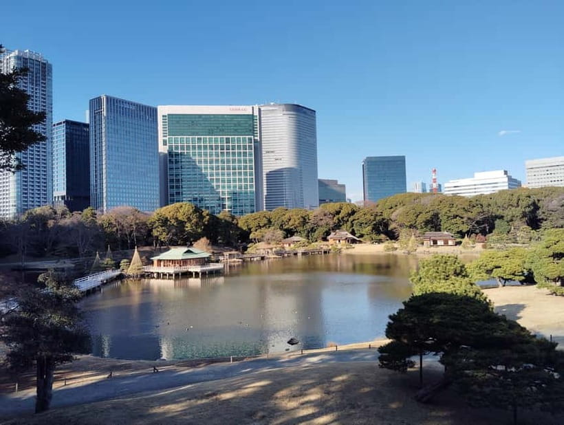 Tokyo: Hama-rikyu Garden Guided Tour with Entry Ticket - Practical details that can make the visit easier