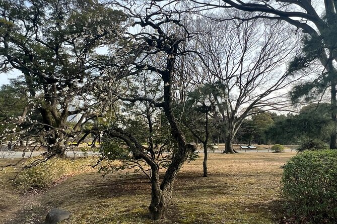 Tokyo: Hama-rikyu Gardens tour with Japanese Tea & Sweets - Is $85 per person good value?