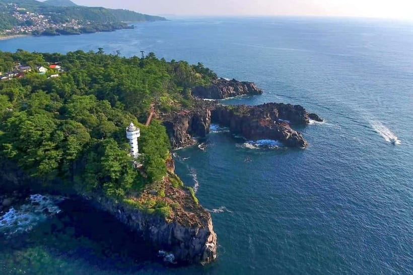 Tokyo: Izu Scenic Train, Volcano, Ocean&Capybara Cuddle Trip - Leaving Tokyo for the Izu Peninsula