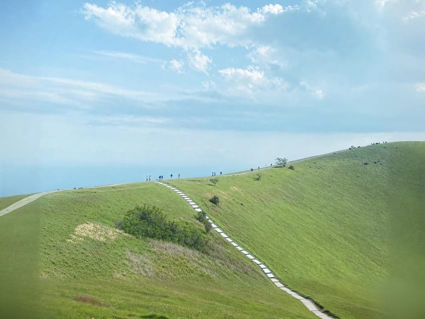 Tokyo: Izu Scenic Train, Volcano, Ocean&Capybara Cuddle Trip - Is $91 a fair price?
