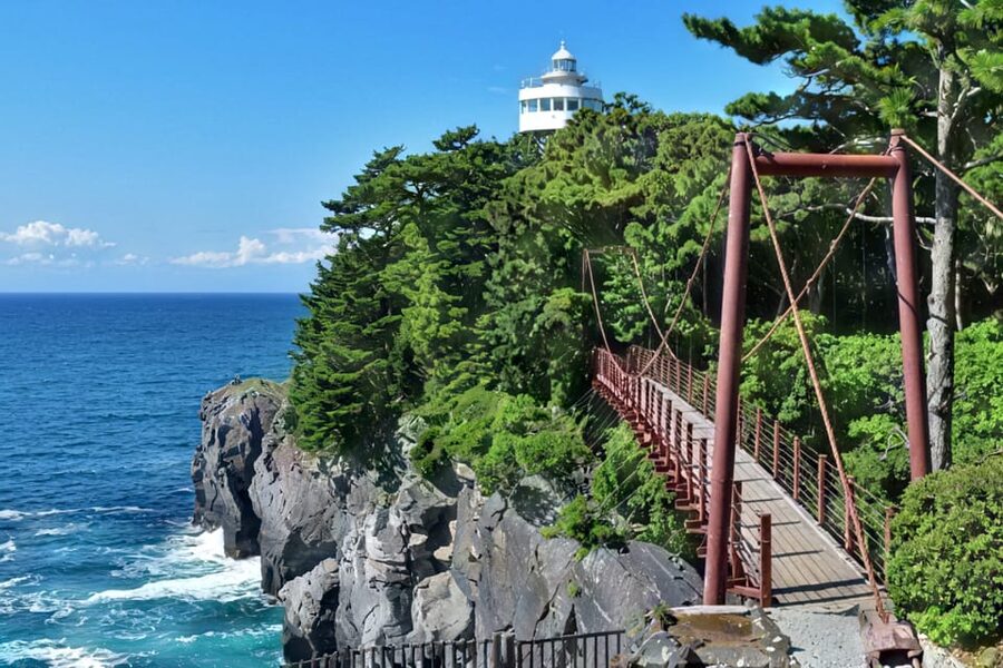 Tokyo: Izu Scenic Train, Volcano, Ocean&Capybara Cuddle Trip - Who should book this experience?