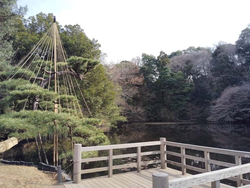 Tokyo: Meiji Jingu Shrine & Inner Garden Guided Tour (2h) - A fortune slip and the small details of belief