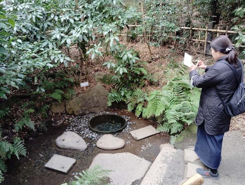 Tokyo: Meiji Jingu Shrine & Inner Garden Guided Tour (2h) - Shinen Garden, South Pond, and Kiyomasa’s Well