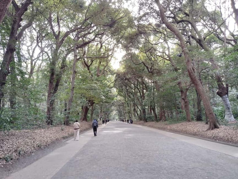 Tokyo: Meiji Jingu Shrine & Inner Garden Guided Tour (2h) - Who will enjoy this shrine tour most?