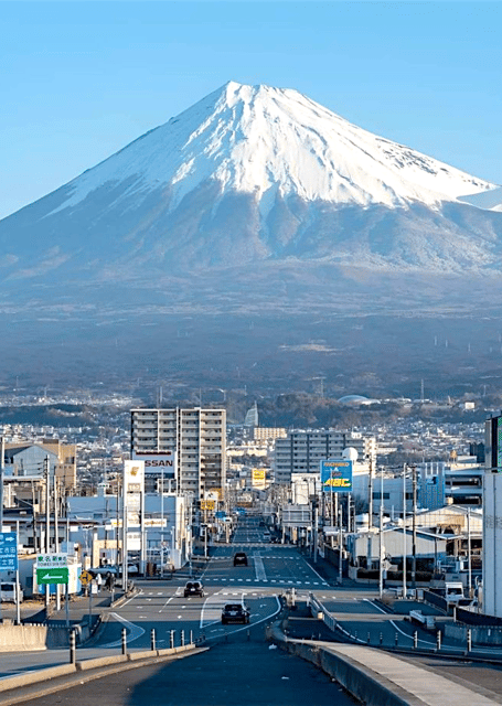 Tokyo: Mount Fuji Tour and Hakone Sakura Cherry Blossom Trip - Key Points to Know Before You Book