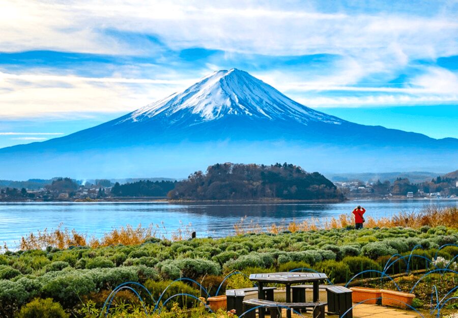 Tokyo: Mount Fuji Tour and Hakone Sakura Cherry Blossom Trip - Why This Private Fuji Day Trip Appeals