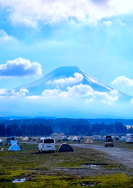 Tokyo: Mount Fuji Tour and Hakone Sakura Cherry Blossom Trip - Mount Fuji 5th Station: The First Big View