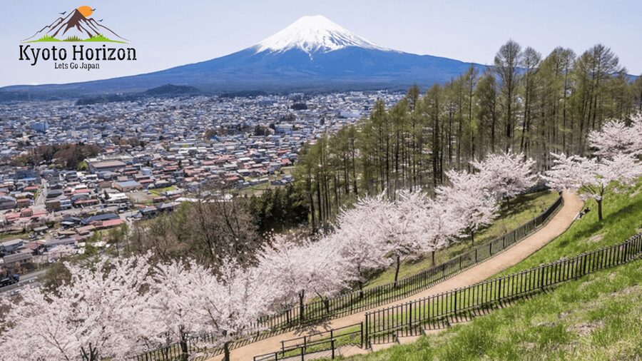Tokyo: Mount Fuji Tour and Hakone Sakura Cherry Blossom Trip - Oshino Hakkai and Its Eight Spring Ponds