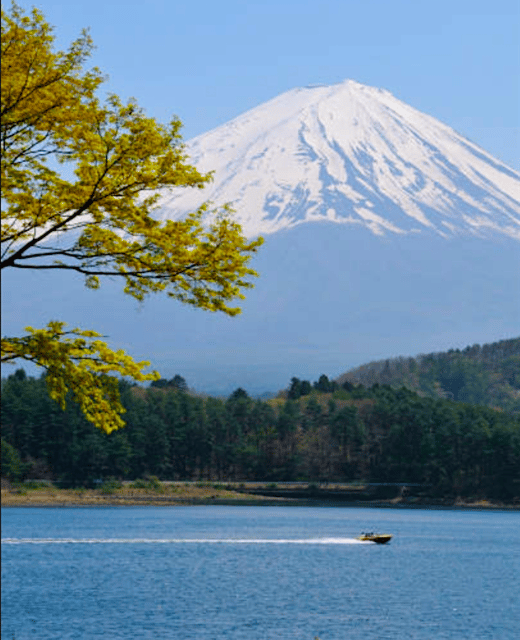 Tokyo: Mount Fuji Tour and Hakone Sakura Cherry Blossom Trip - Kitaguchi-hongu Fuji Sengen Shrine
