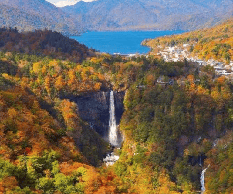 Tokyo: Mount Fuji Tour and Hakone Sakura Cherry Blossom Trip - The Long Morning Ride From Tokyo