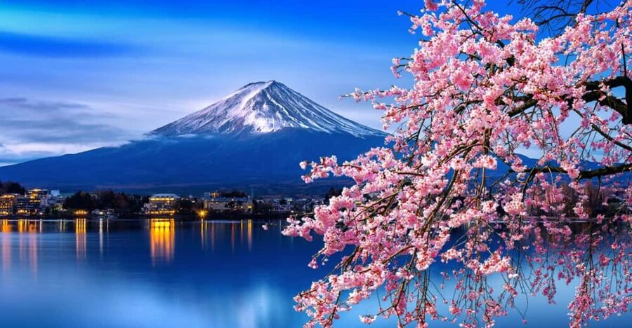 Tokyo: Mt. Fuji & Hakone Cherry Blossoms Private Day Tour - Key points before you book