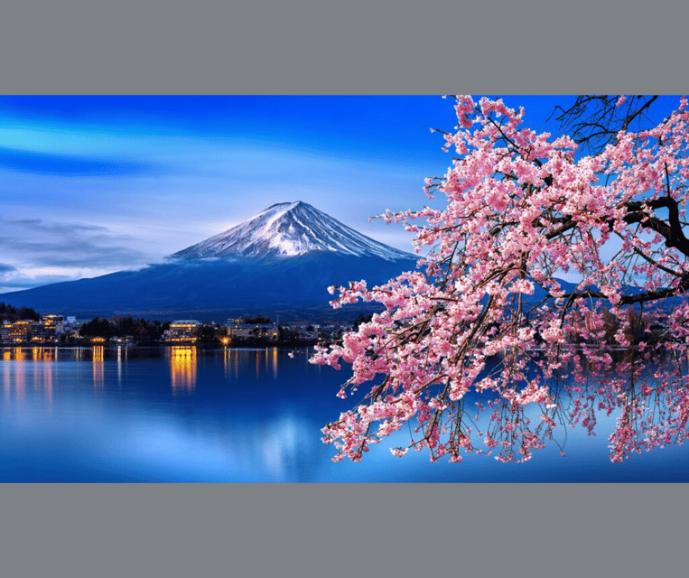 Tokyo: Mt. Fuji & Hakone Cherry Blossoms Private Day Tour - What this private Mt. Fuji day is really offering